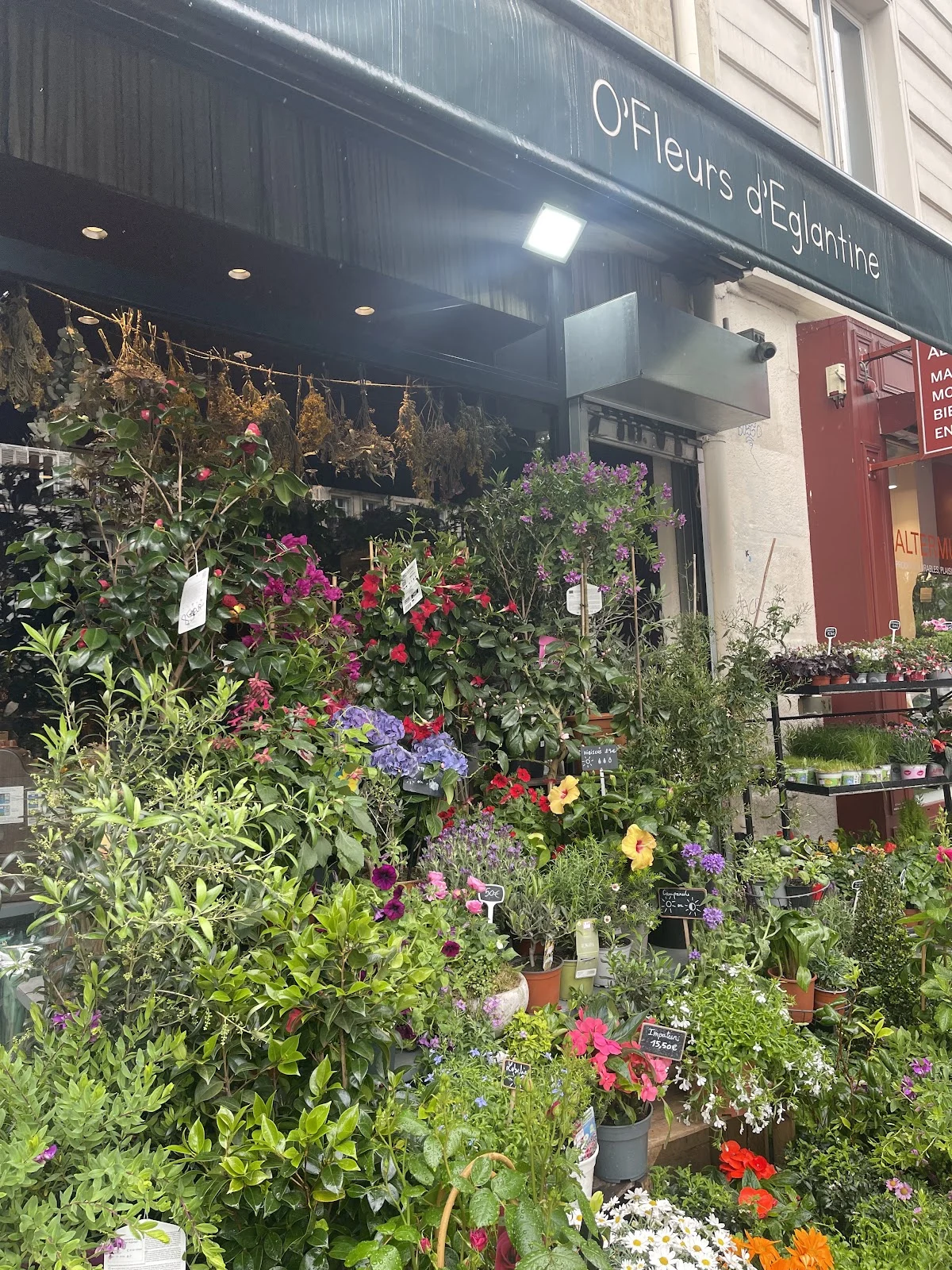 O'Fleurs D'Eglantine | Fleuriste Paris
