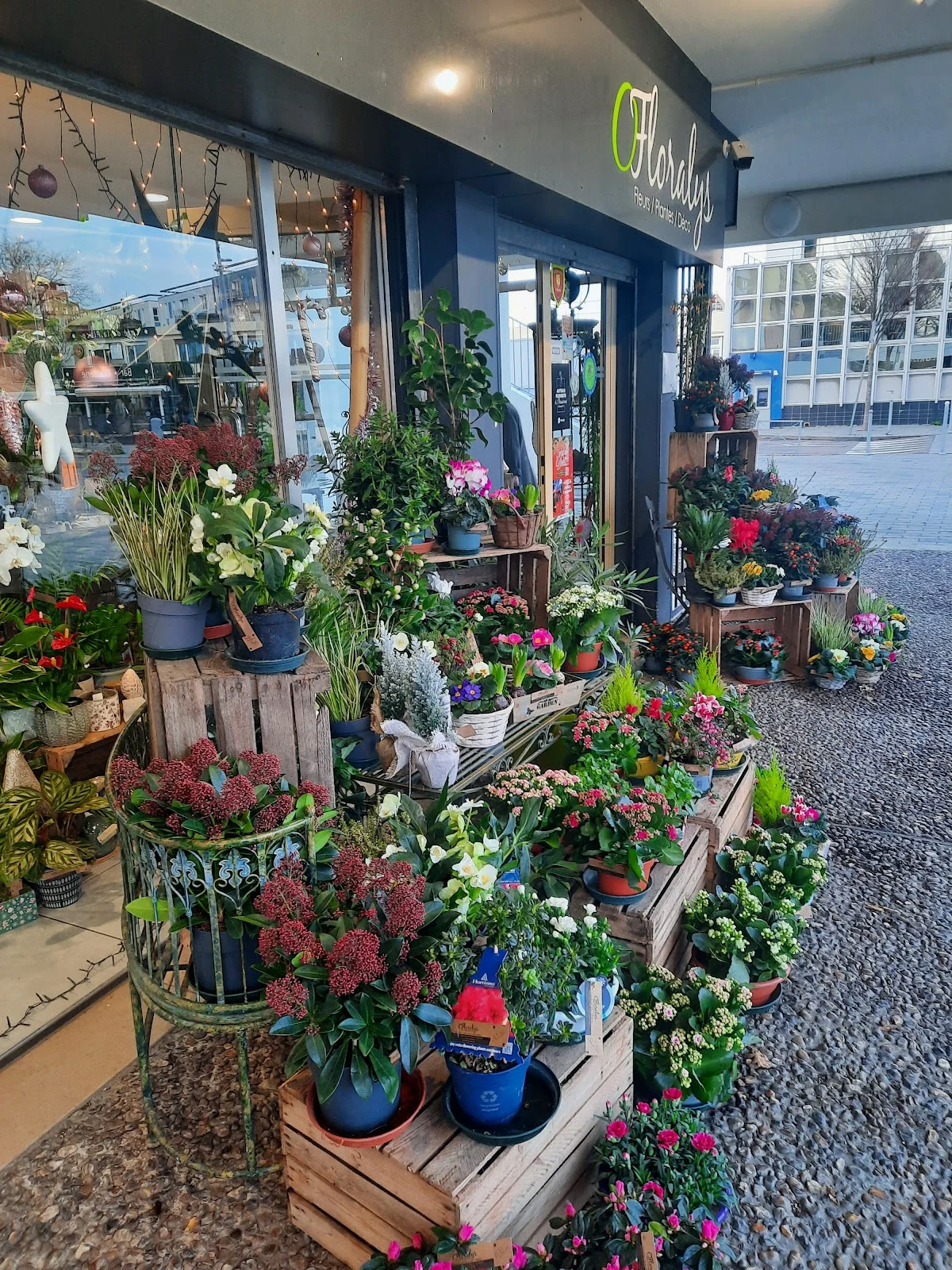 O'Floralys