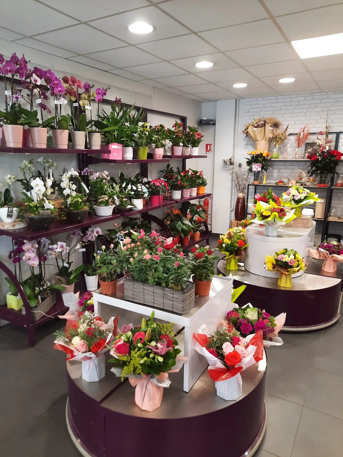 Oh les Fleurs! - 2