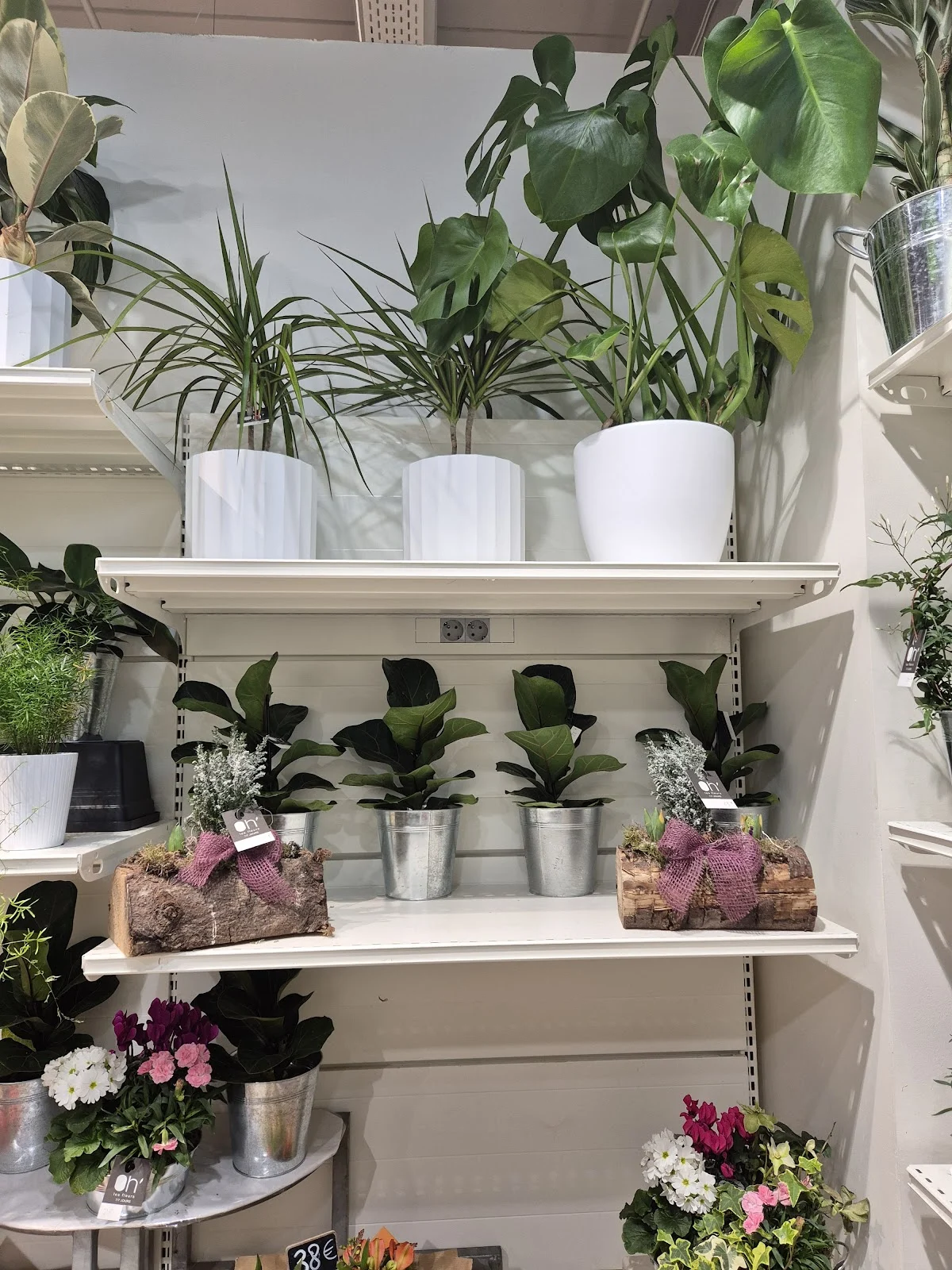 Oh! Les Fleurs - Artisan fleuriste Marcq-en-Baroeul - 2