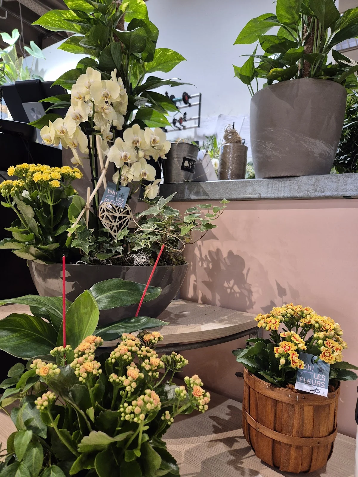 Oh! Les Fleurs - Artisan fleuriste Marcq-en-Baroeul - 5