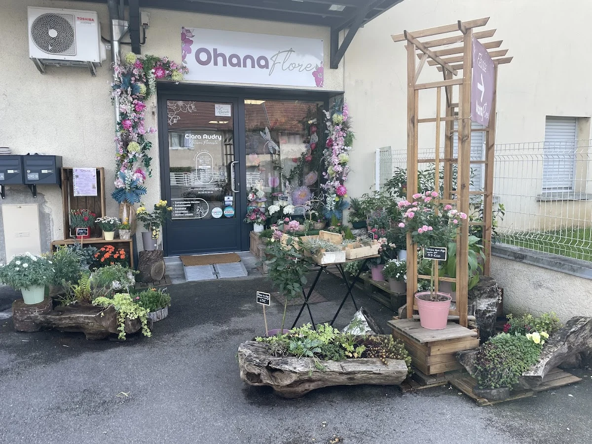 Ohana Flore | Fleuriste Dole