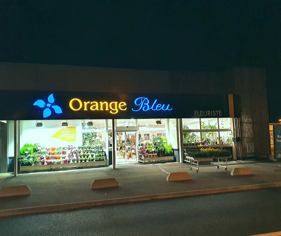 Orange Bleu Fleurs - 4