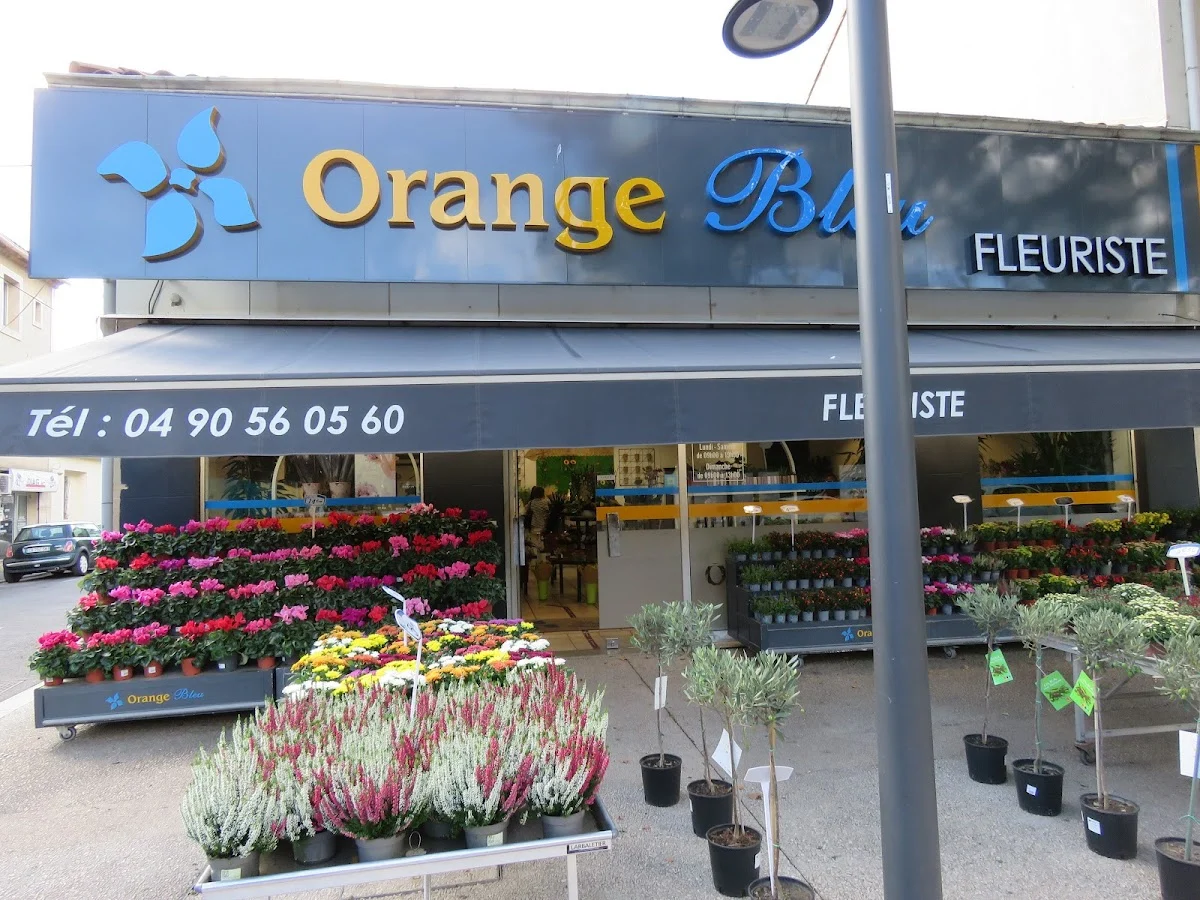 Orange Bleu Fleurs