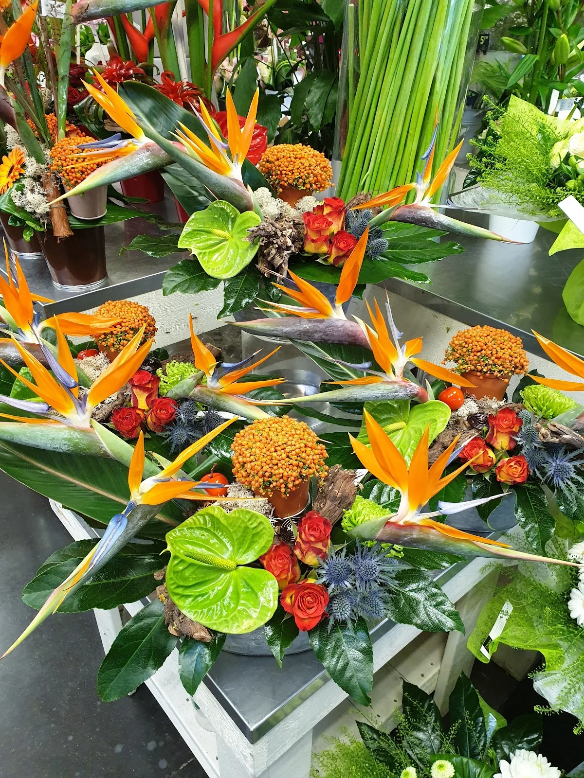 Orange et vert - 3
