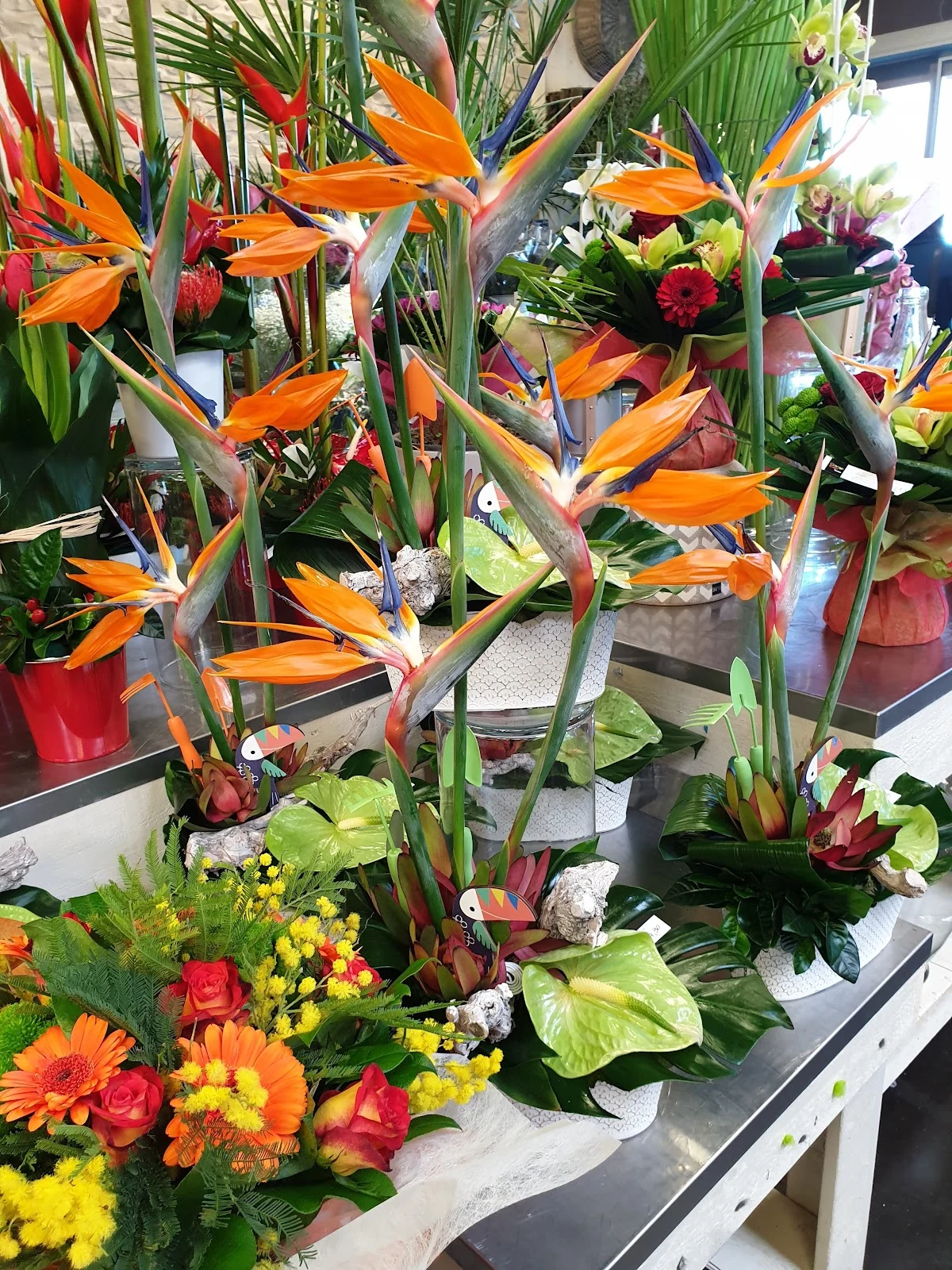 Orange et vert - 5