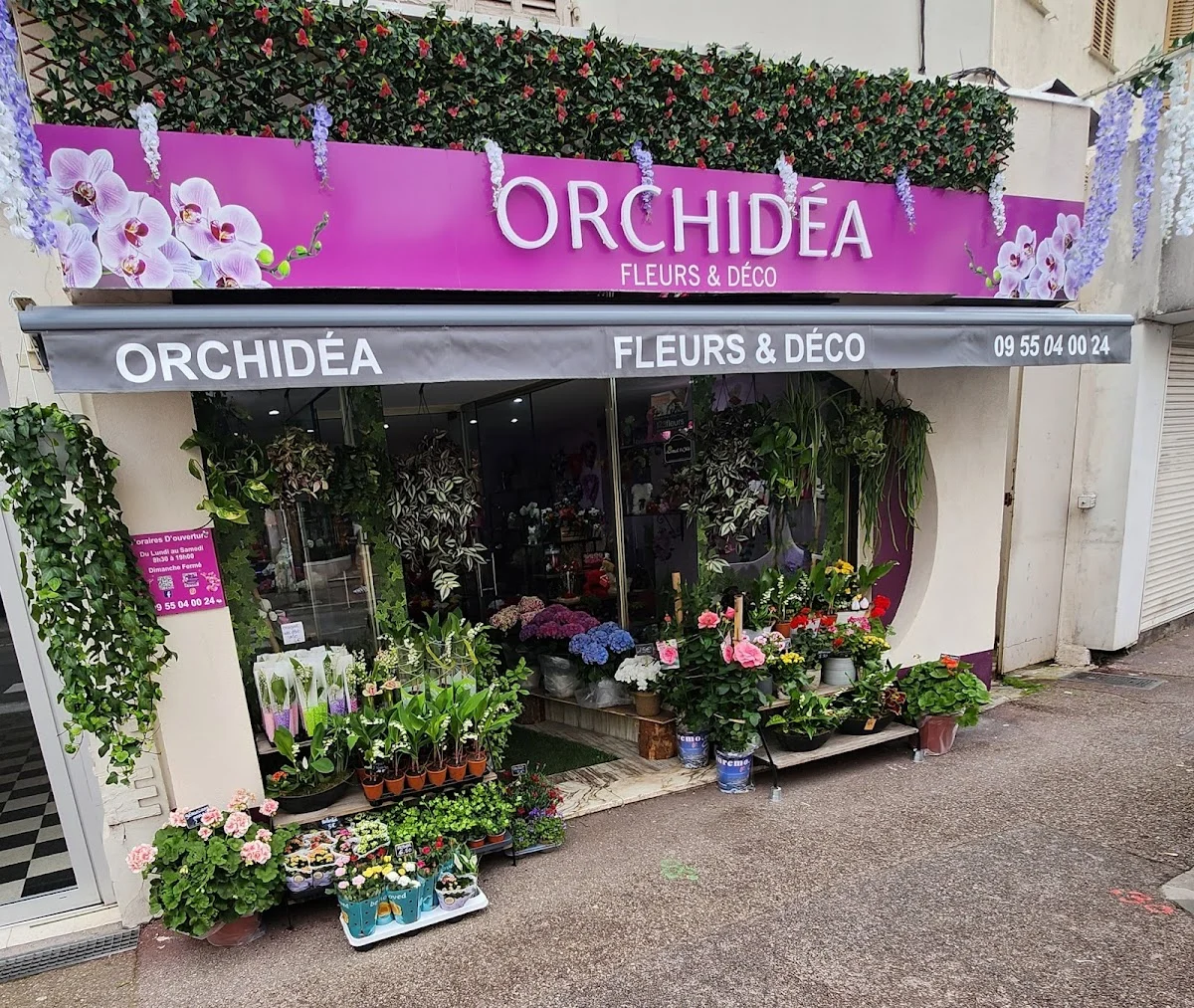 ORCHIDEA