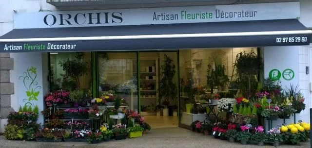 Orchis - 2