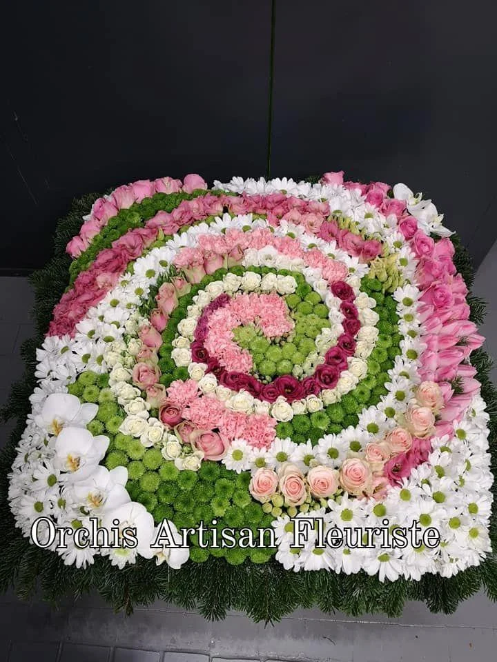 Orchis - 3