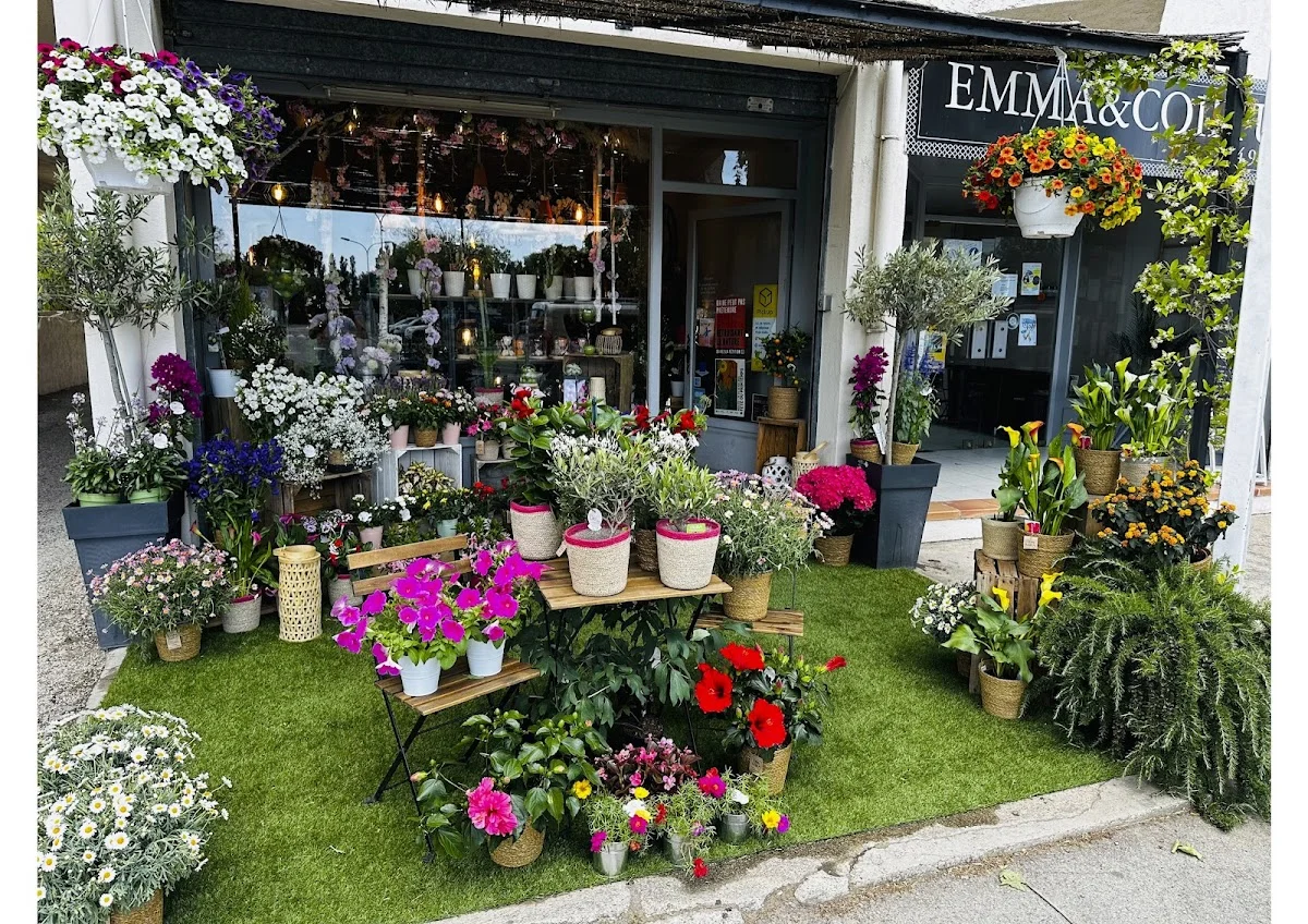 Orkidées Artisan Fleuriste