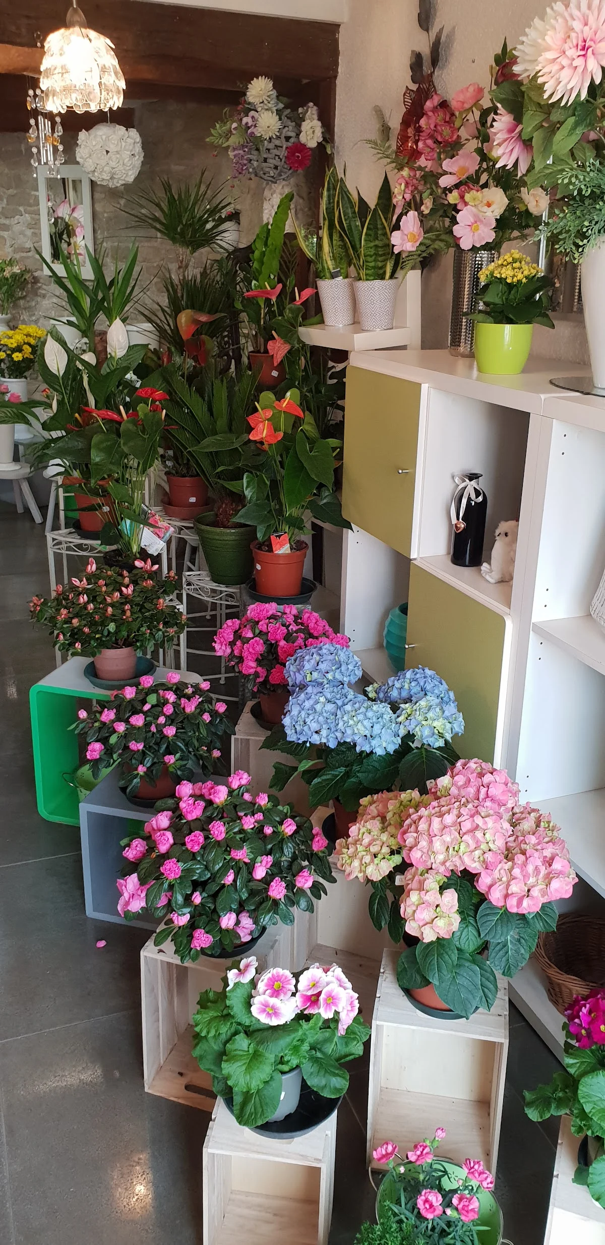 Orlandi Fleurs