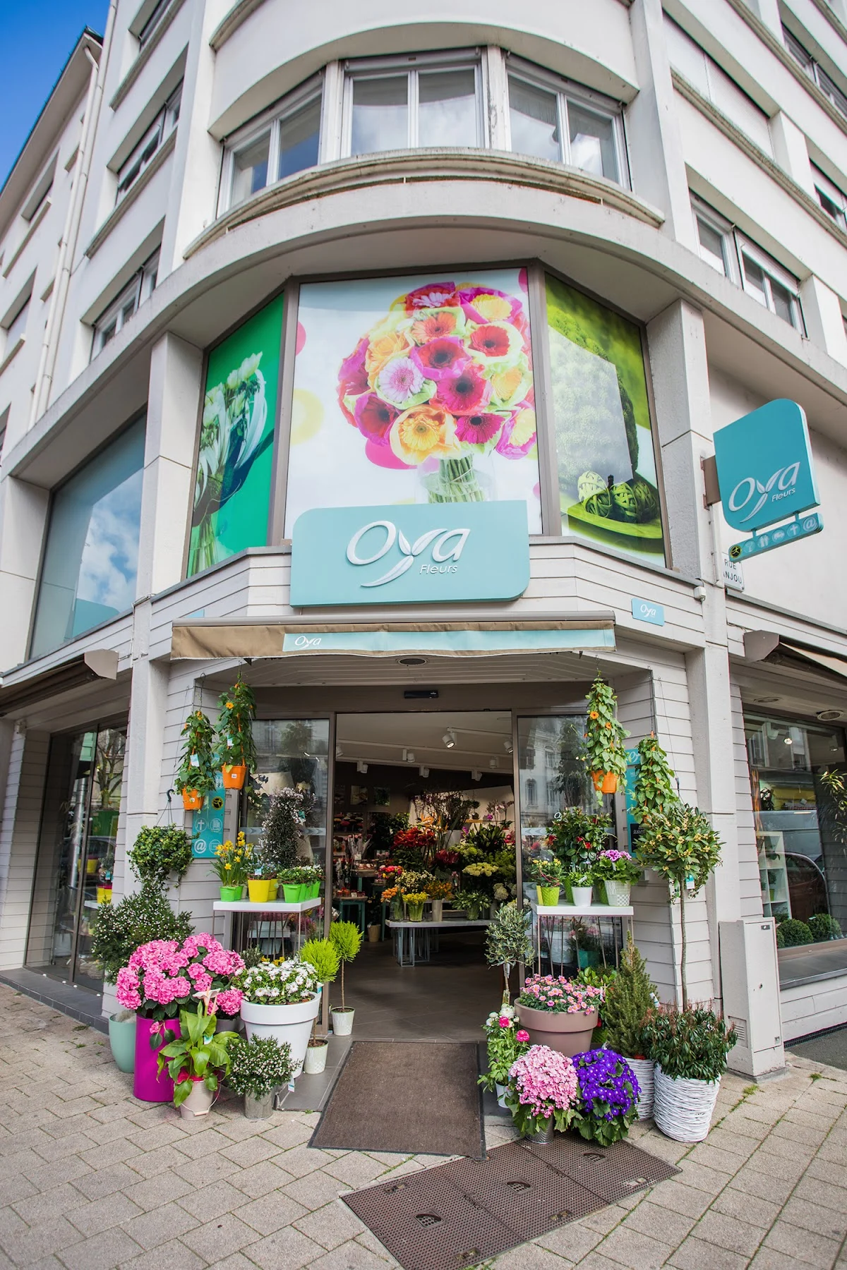 Oya Fleurs
