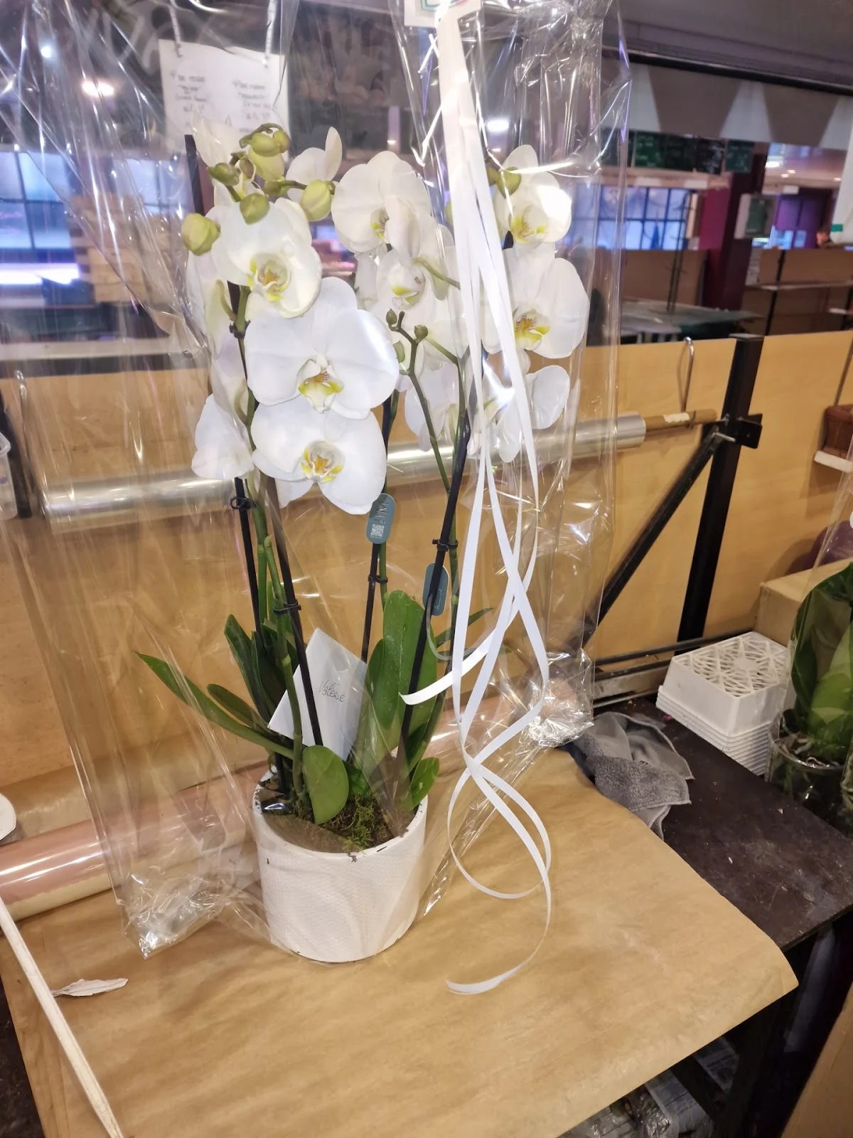 Pancher Fleurs | Fleuriste Enghien-les-Bains - 2