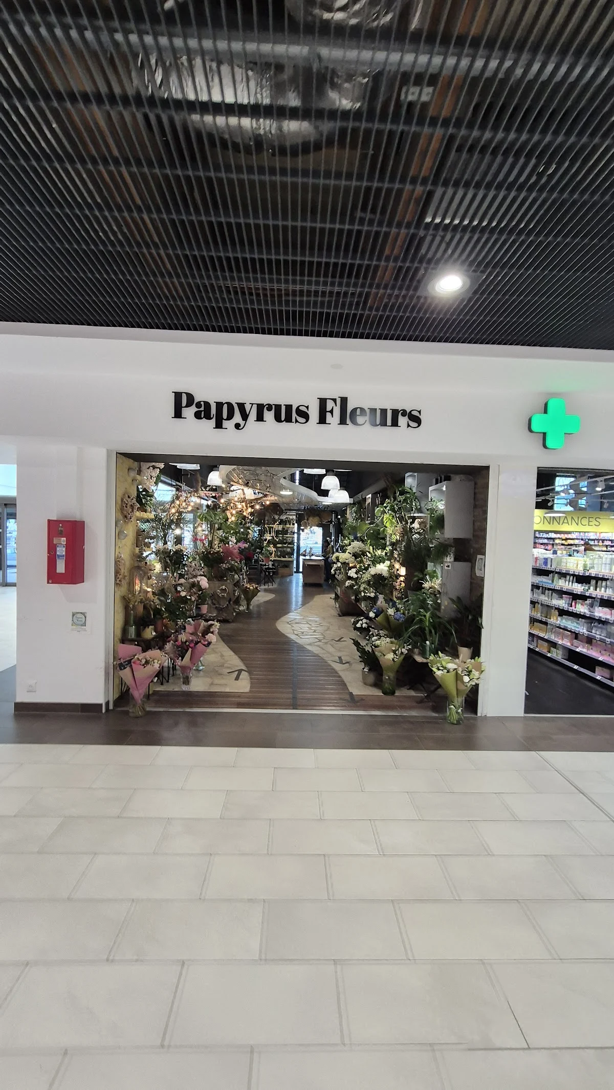 Papyrus Fleurs SA