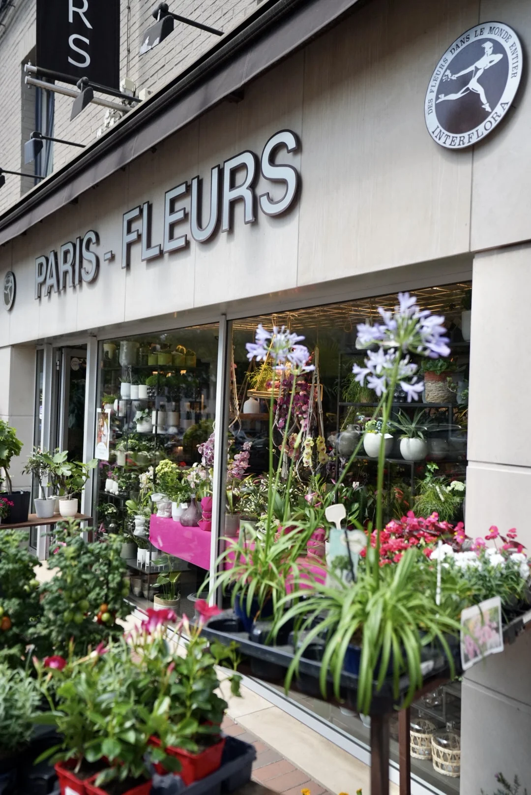 Paris Fleurs - 2