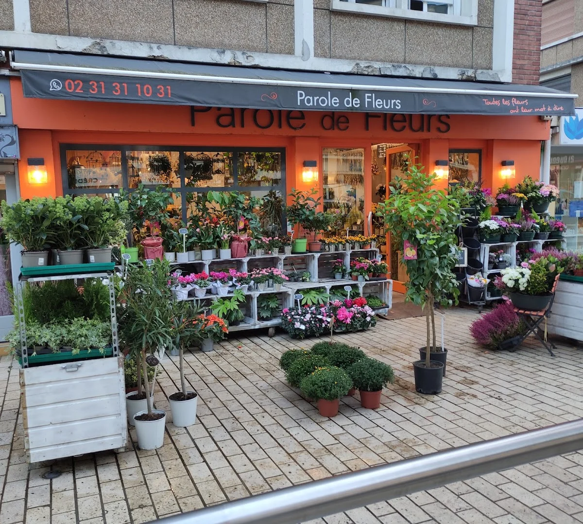Parole de Fleurs