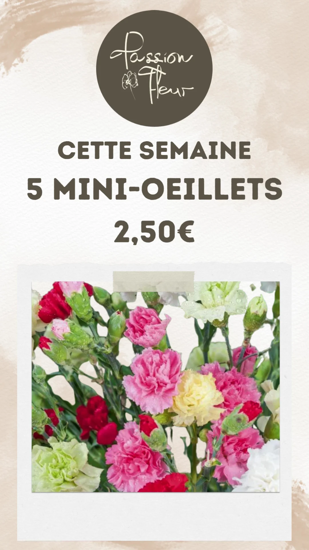 Passion Fleur - 3
