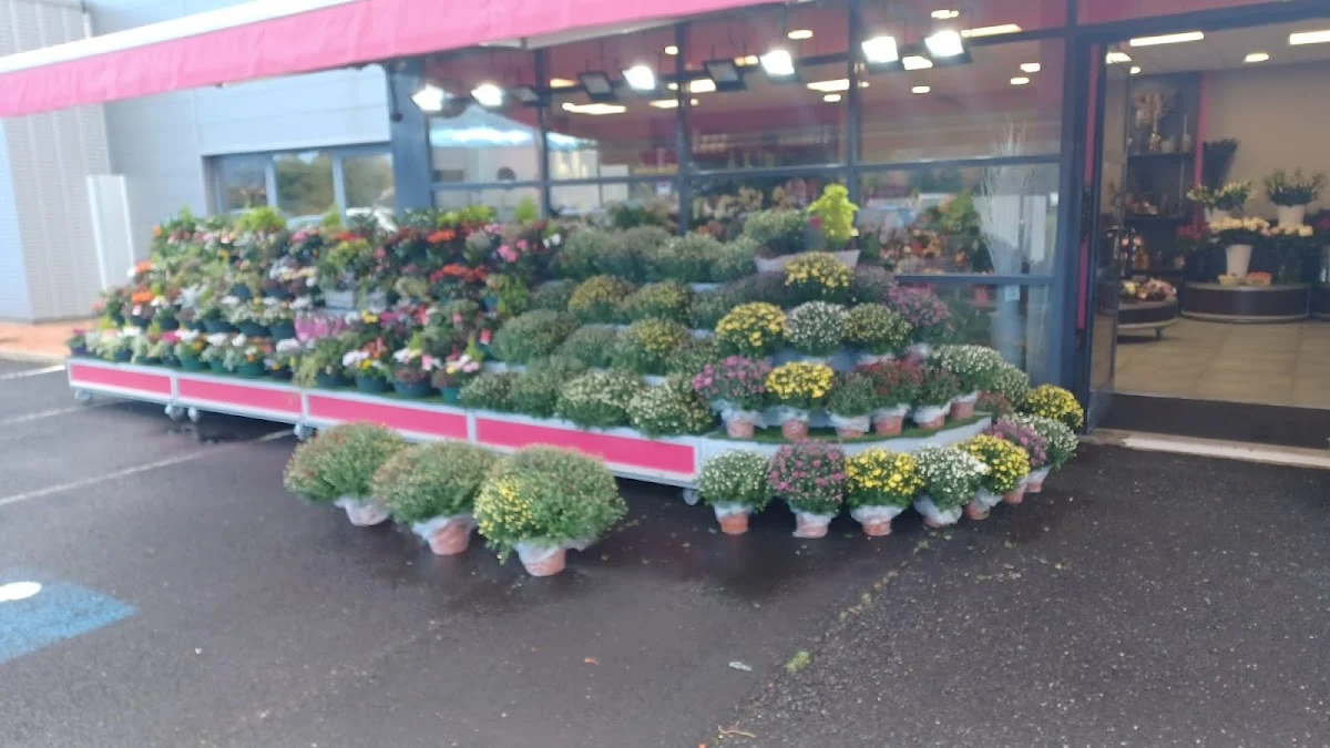 Passion Fleurs Cournon d'Auvergne