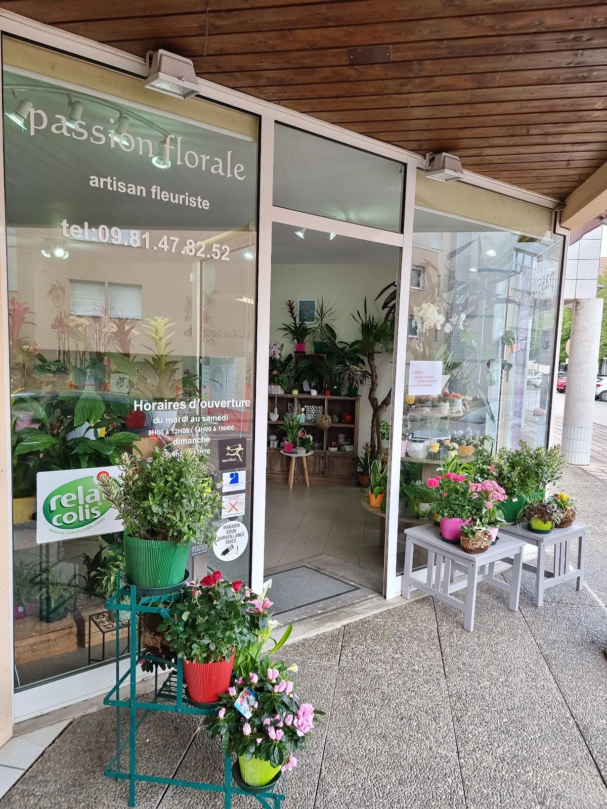 PASSION FLORALE