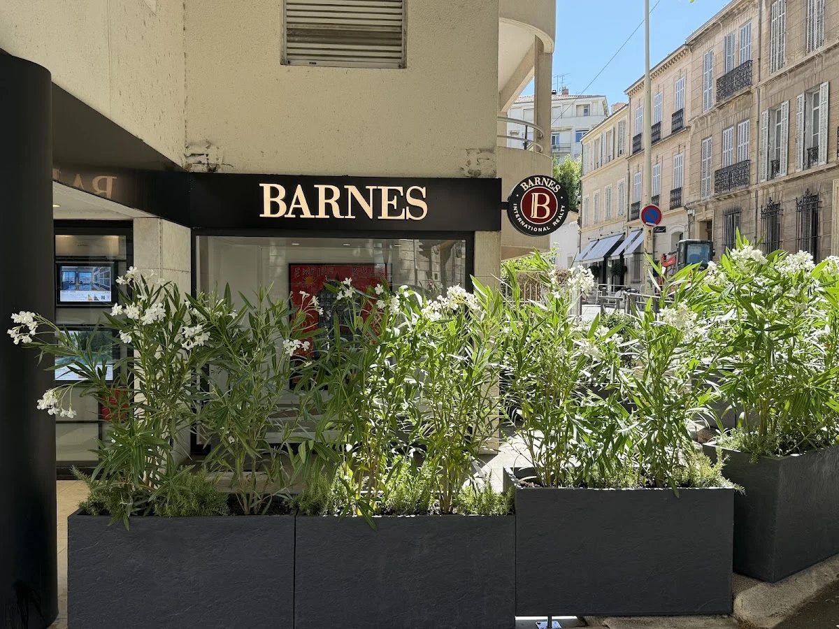 Paysagiste Marseille 13006 - Terrasse et jardin de ville - 5