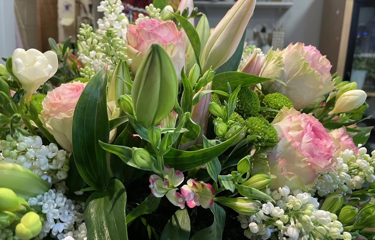 Pélargonium Fleurs - 3