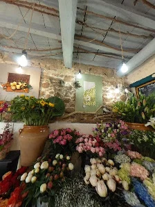 Pérols Fleurs - 2