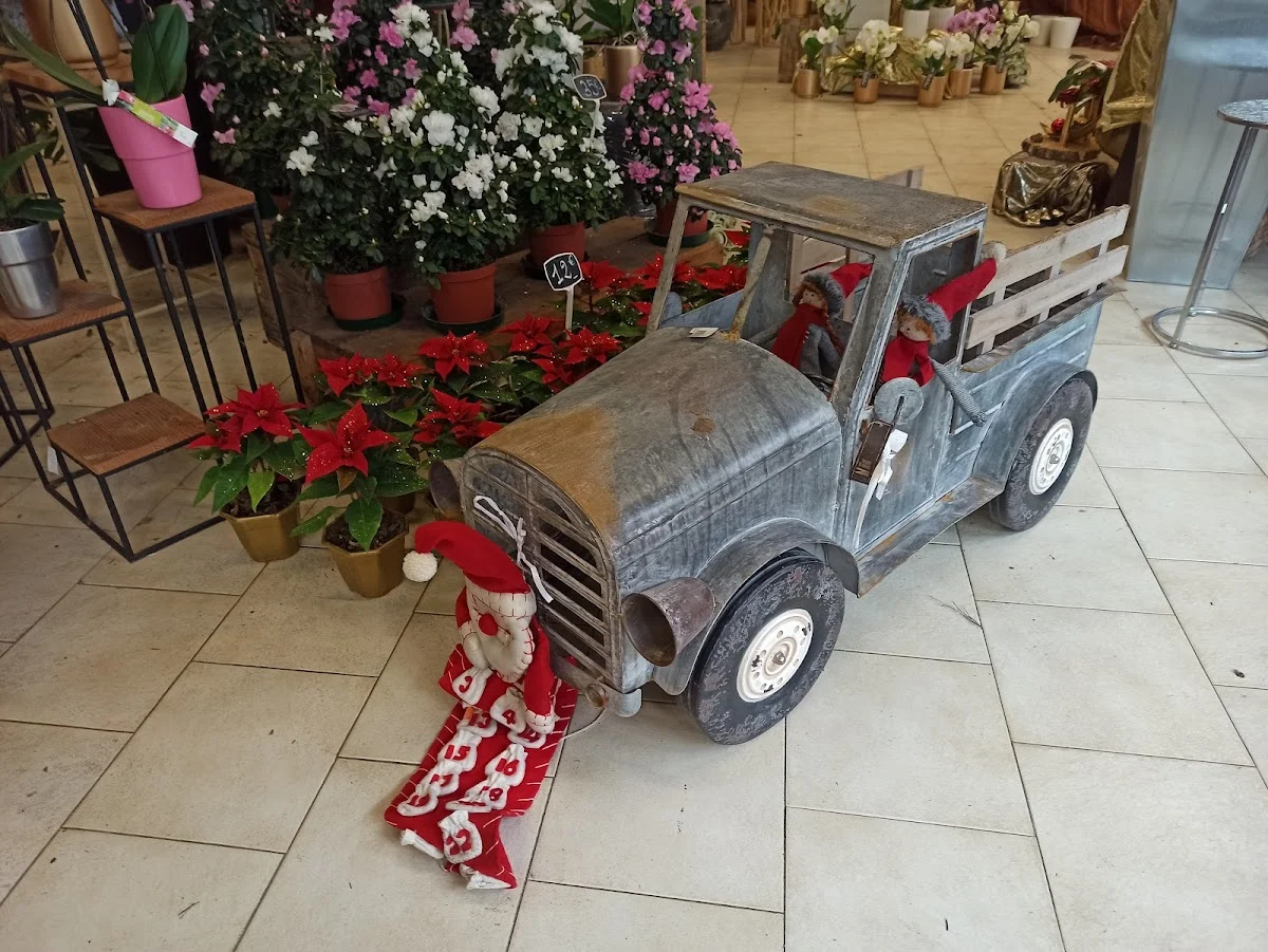 Peyre Espace Floral | Fleuriste Draguignan - 6