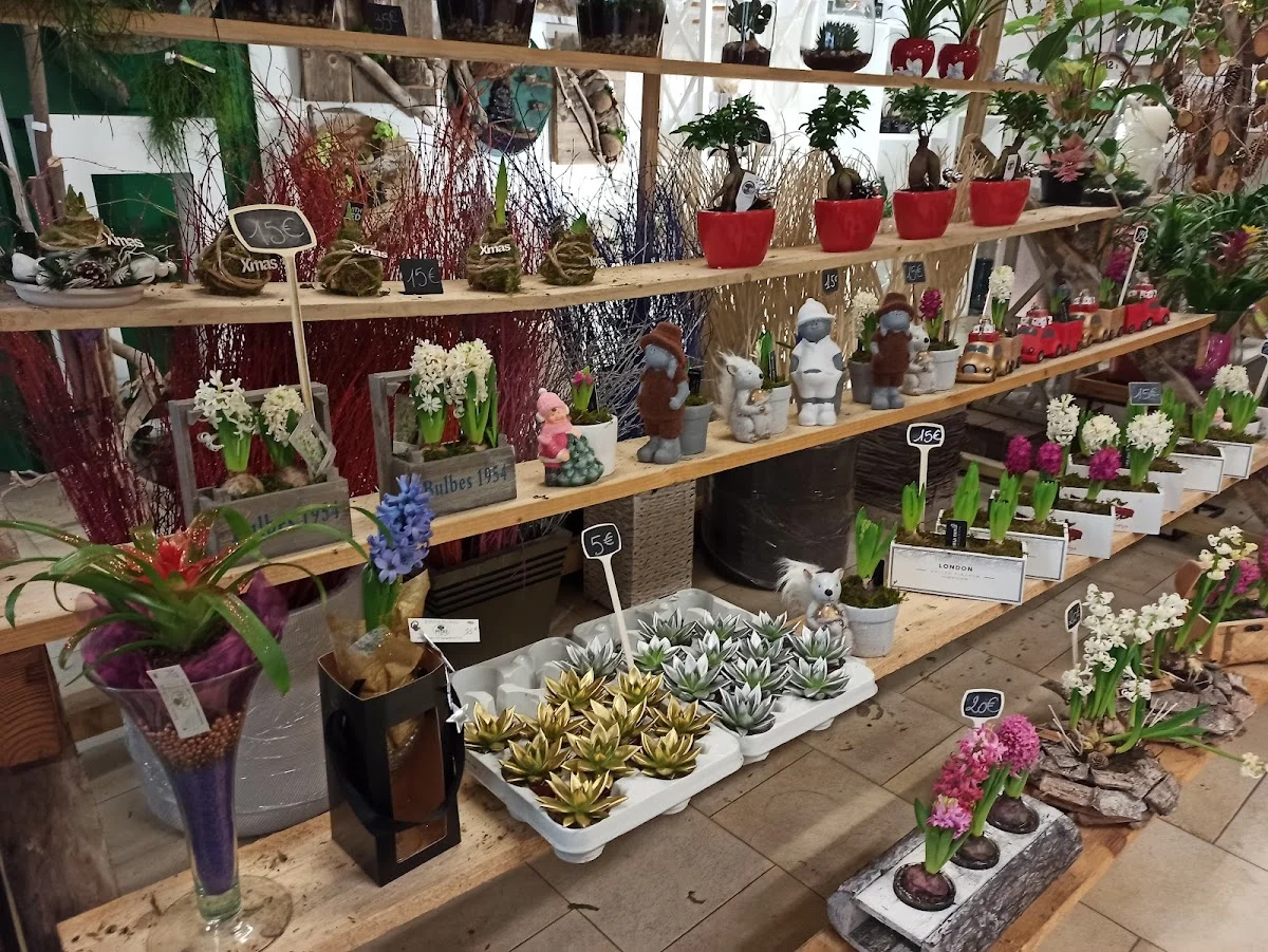 Peyre Espace Floral | Fleuriste Draguignan