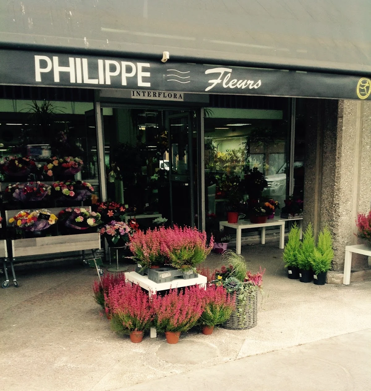 Philippe Fleurs - 3
