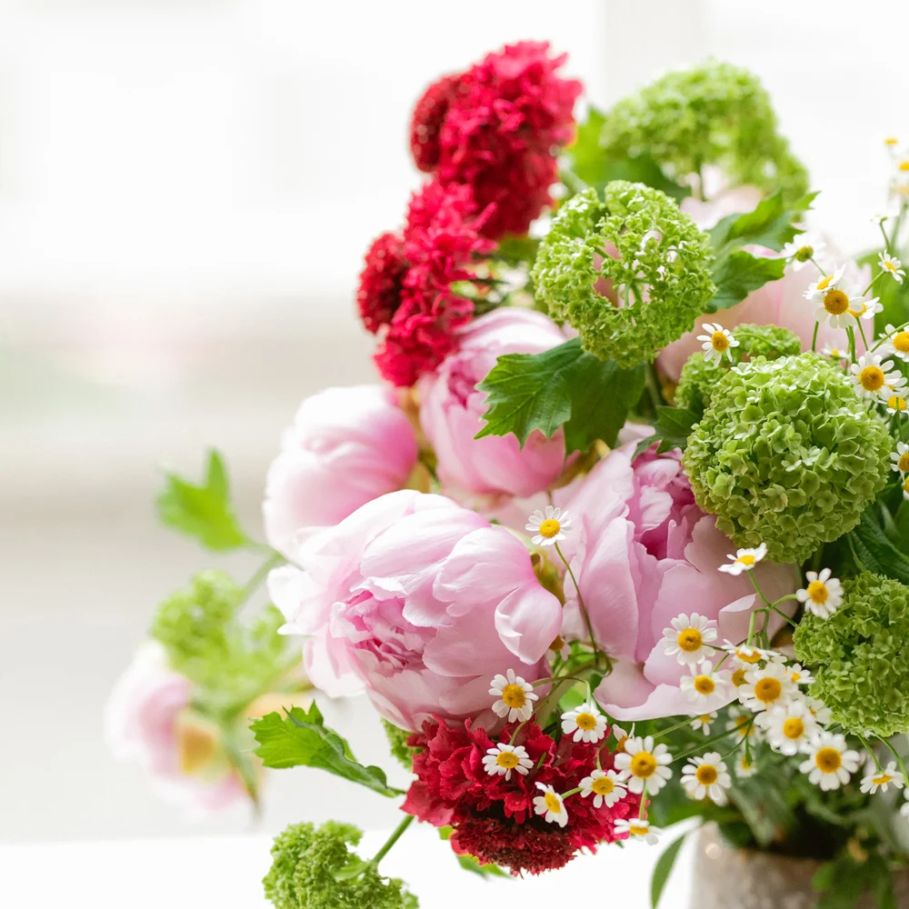 Pic Fleurs | Fleuriste Lille - 2