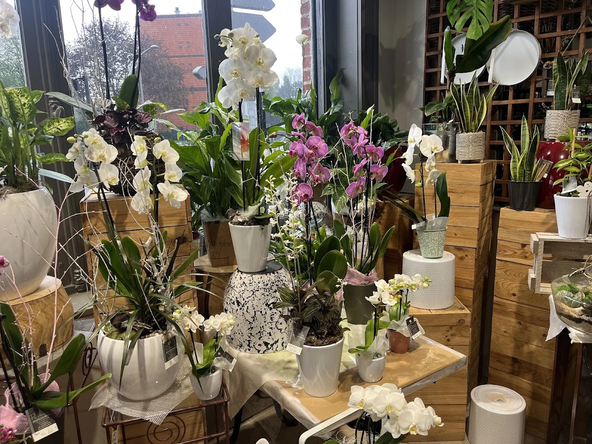 Pic Fleurs | Fleuriste Lille - 4