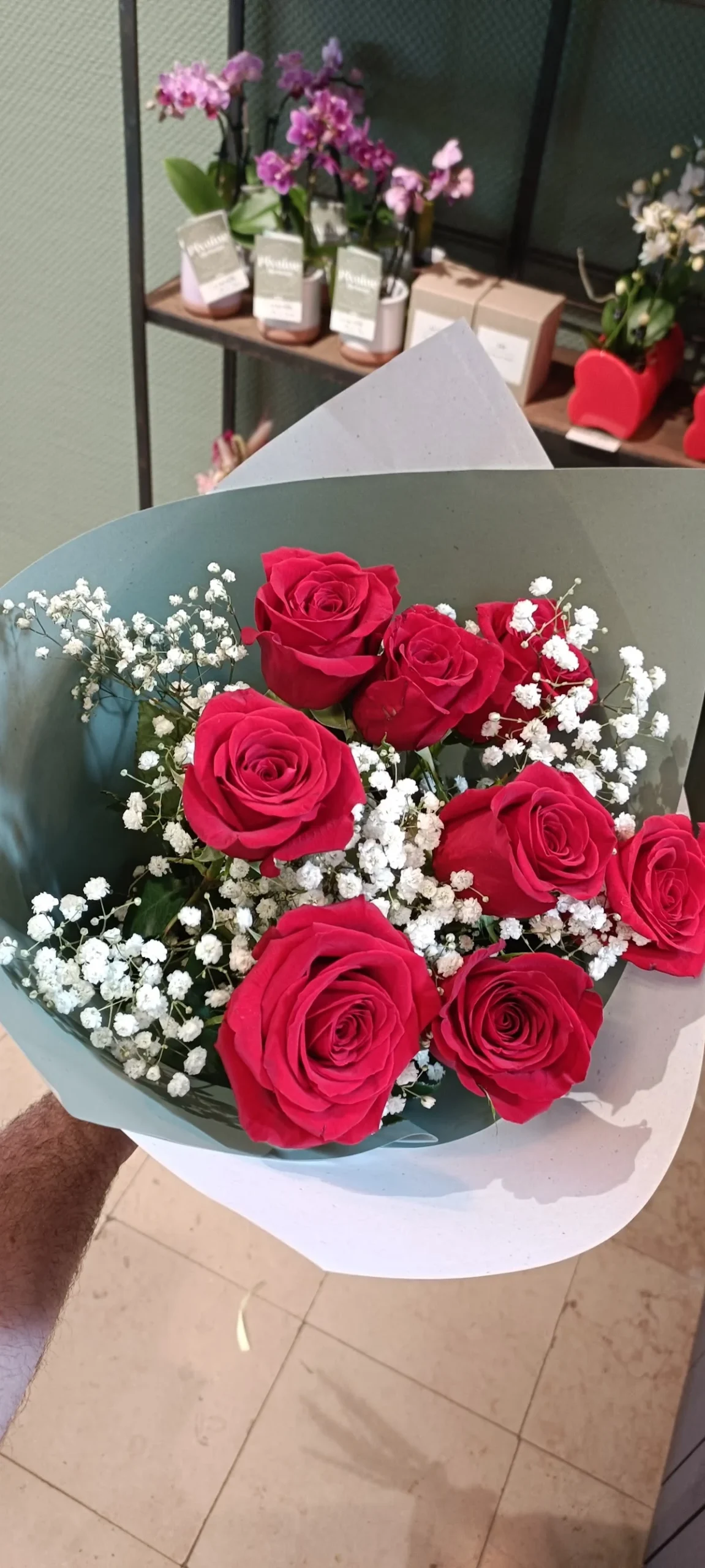 Pivoine et Compagnie - 2