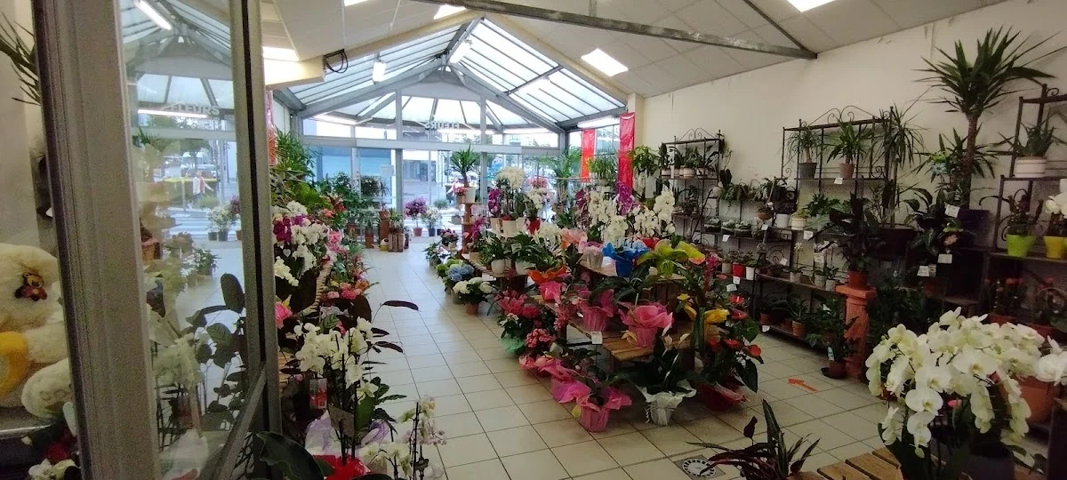 Plantes 2000 - 2