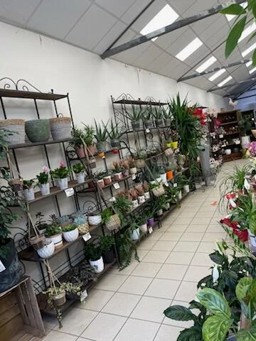 Plantes 2000 - 3