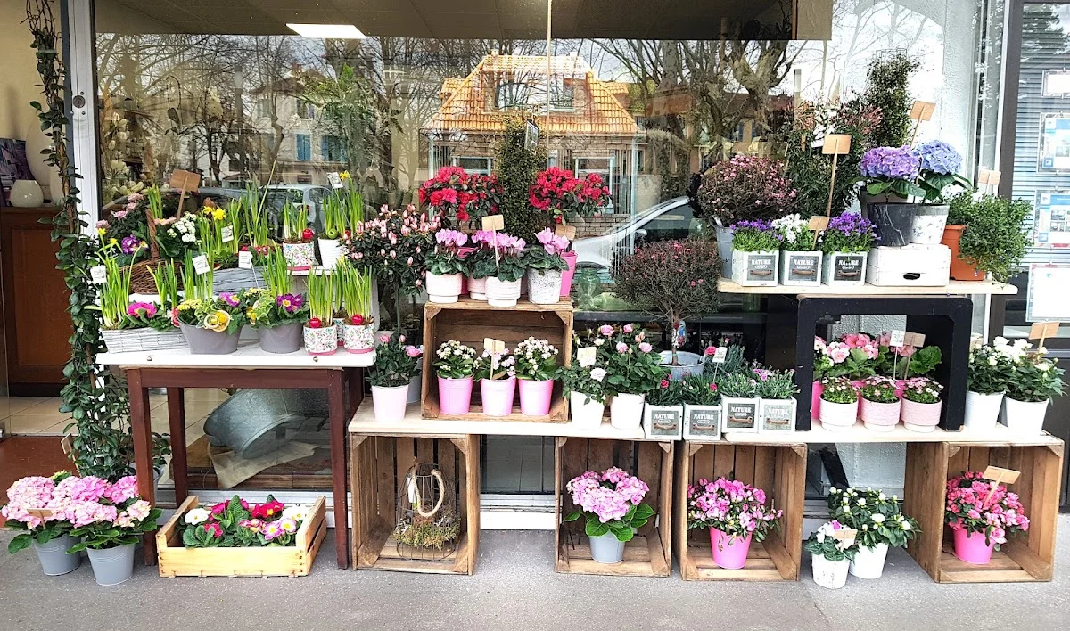 Point du Jour Fleurs - 2
