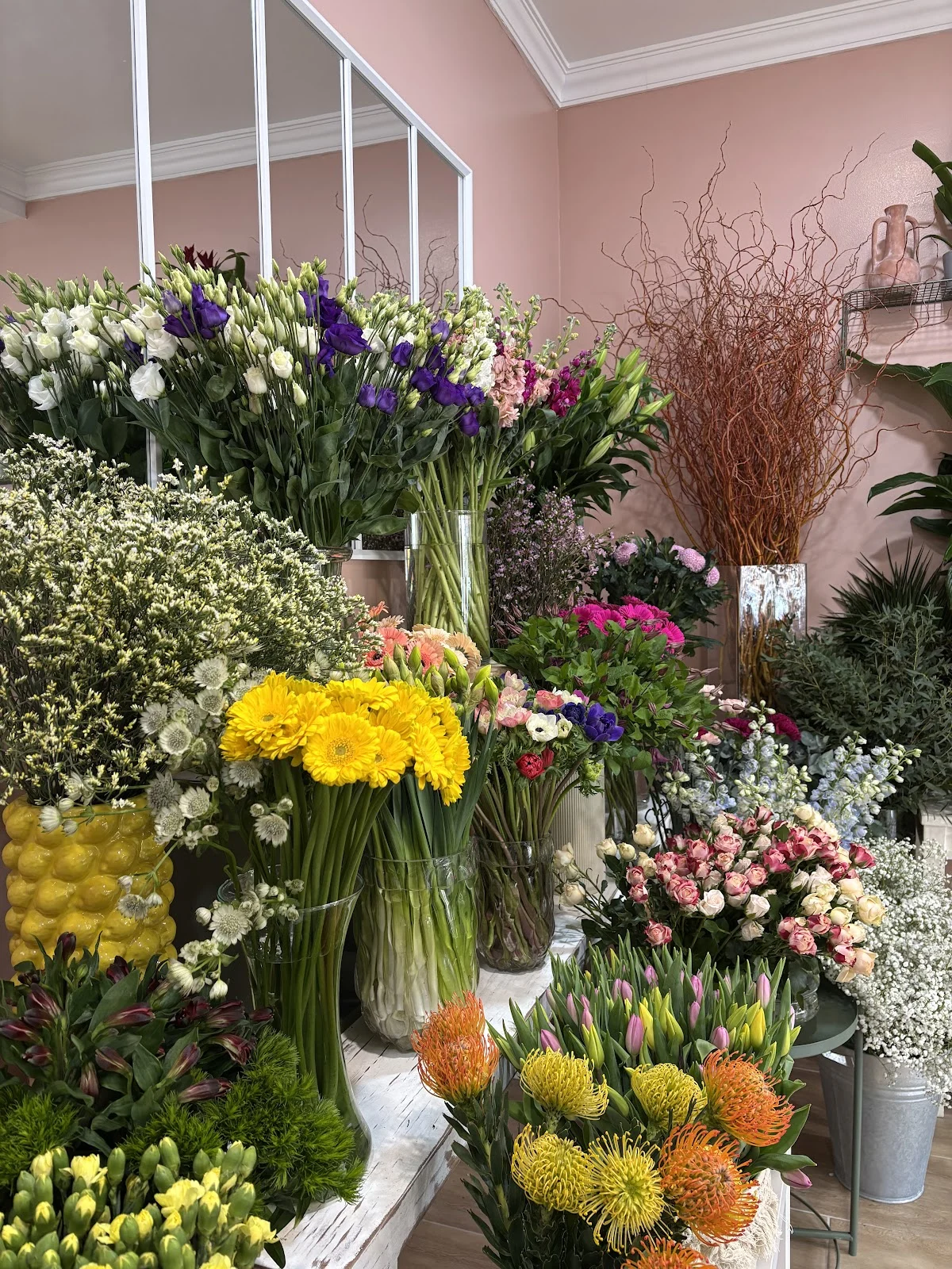 Primavera - 3
