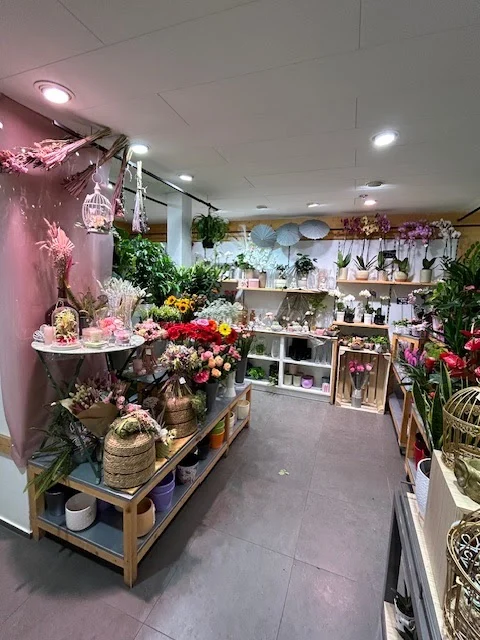 Quartier Fleurs Schiltigheim - 2