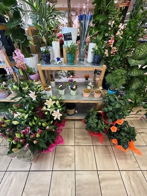 Quartier Fleurs Schiltigheim - 3