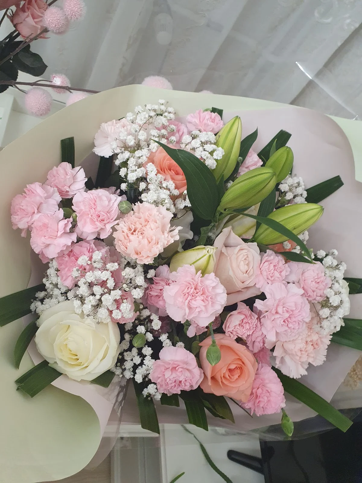Quartier Fleurs Schiltigheim - 4