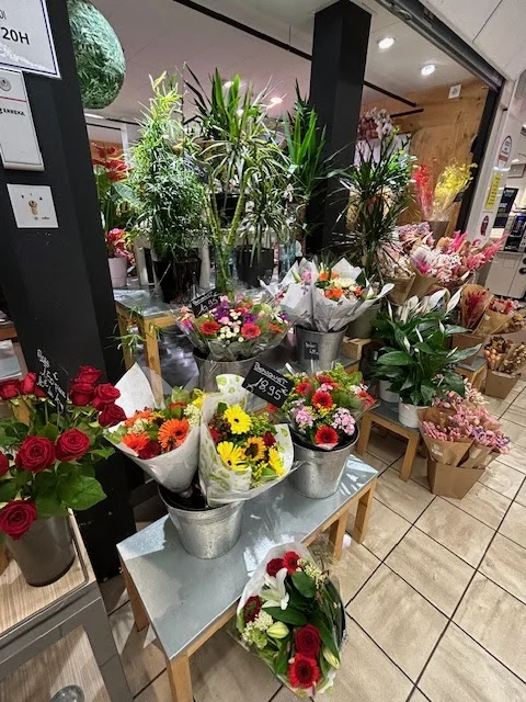 Quartier Fleurs Schiltigheim - 5