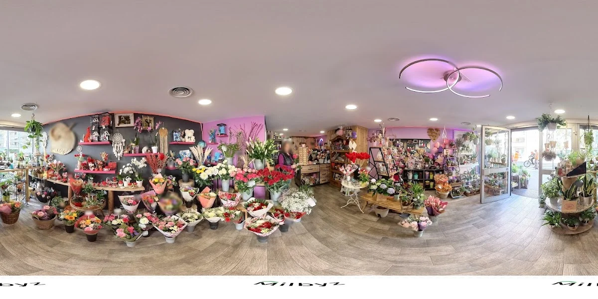 Rainbow Fleurs - 2