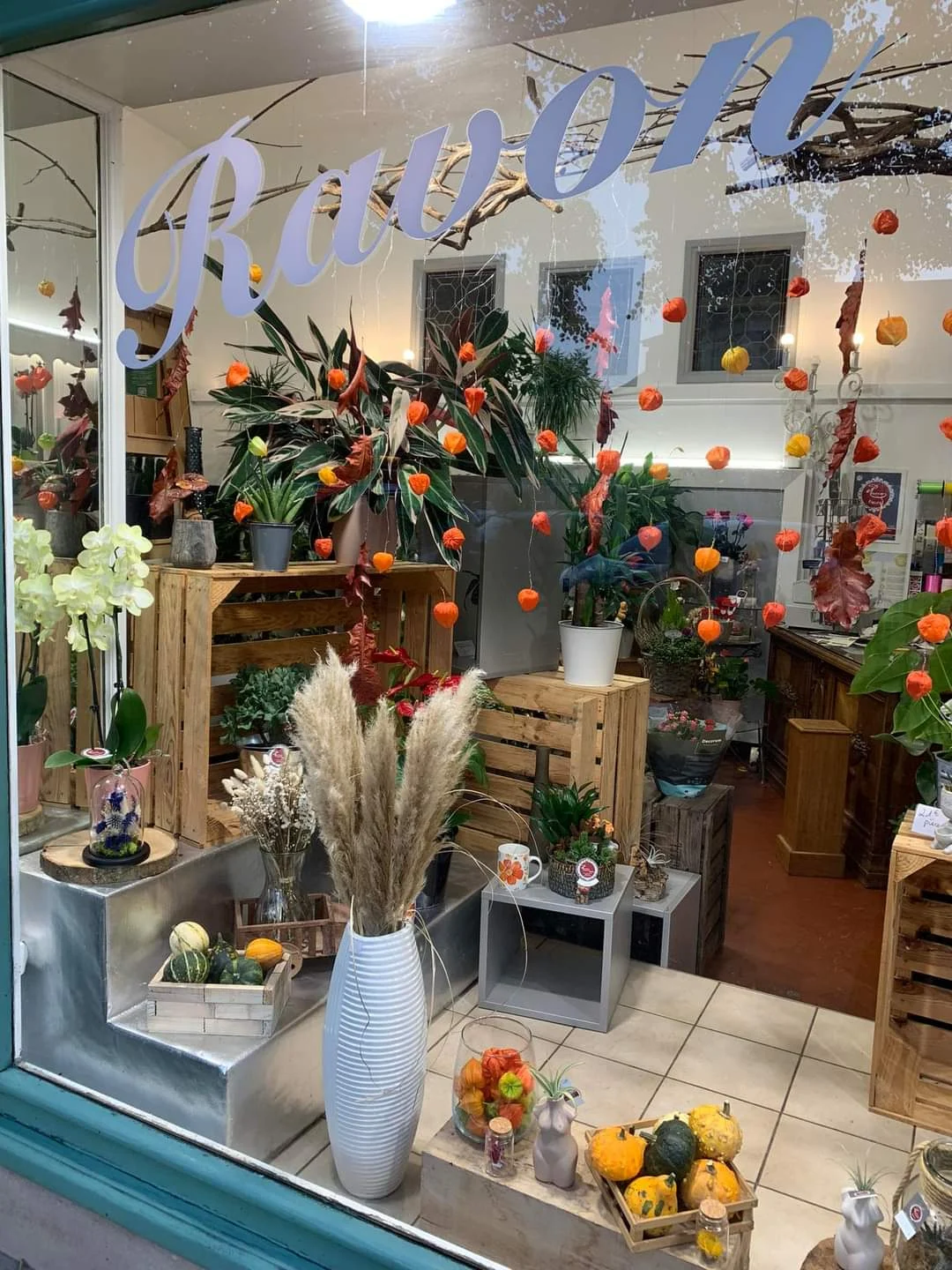 Ravon Fleurs, Fleuriste Toul - 2