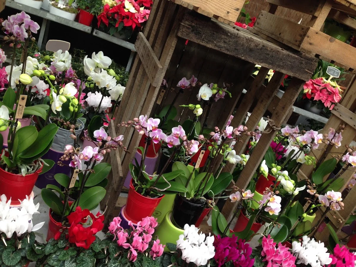 Richard Fleurs - 2
