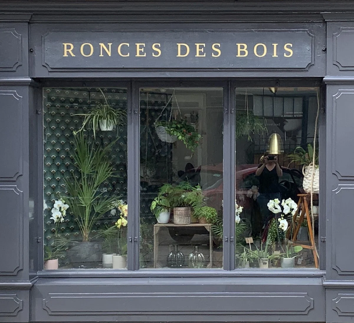 Ronces des Bois - 6