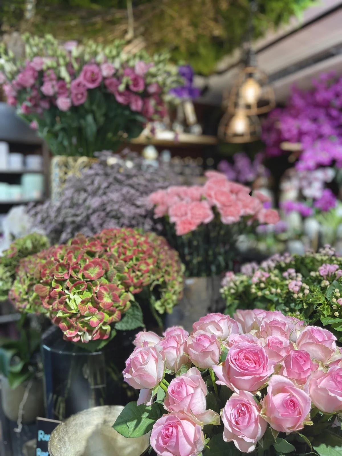 Roni Fleurs - Cagnes sur Mer bd Kennedy - 4