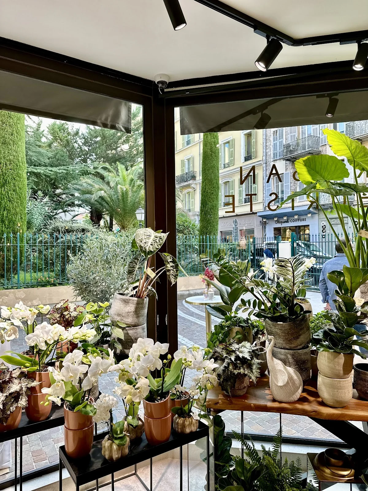 Roni Fleurs - Nice - 4