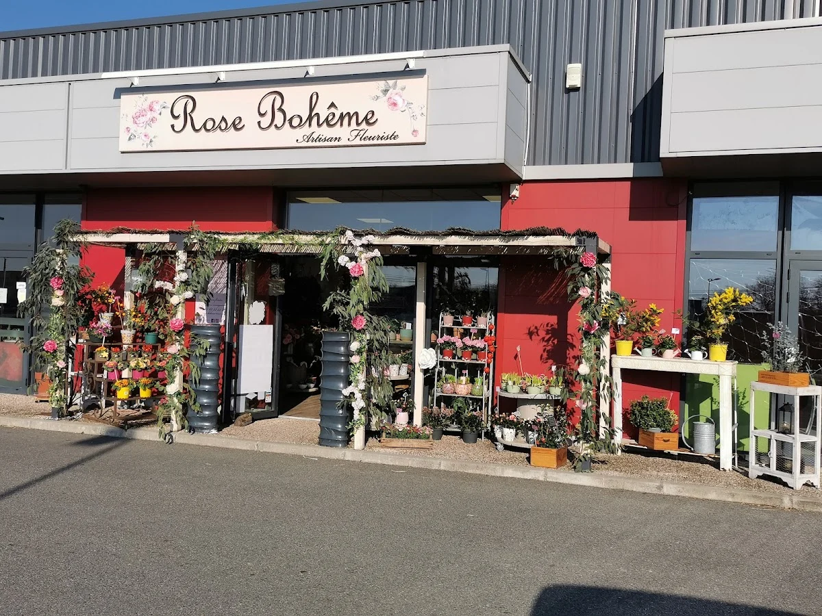 Rose bohème