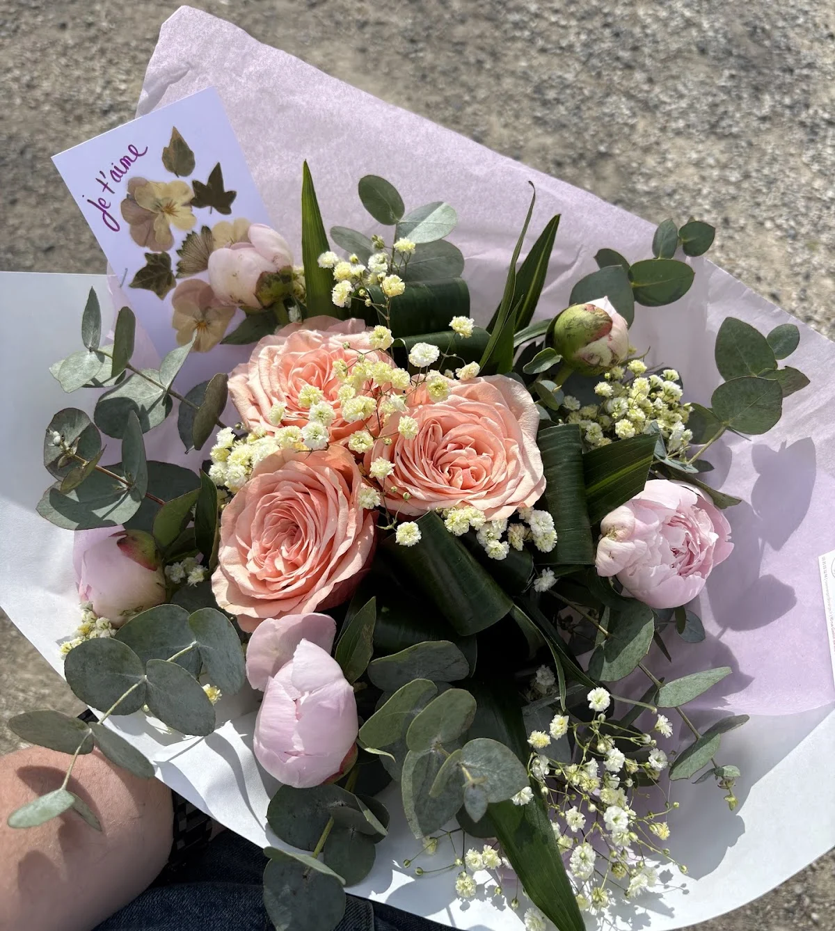 Rose Oranger - 2