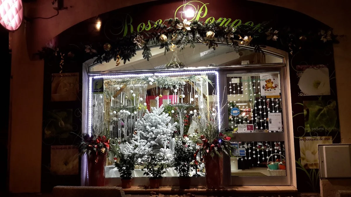 Rose Pompon - 2