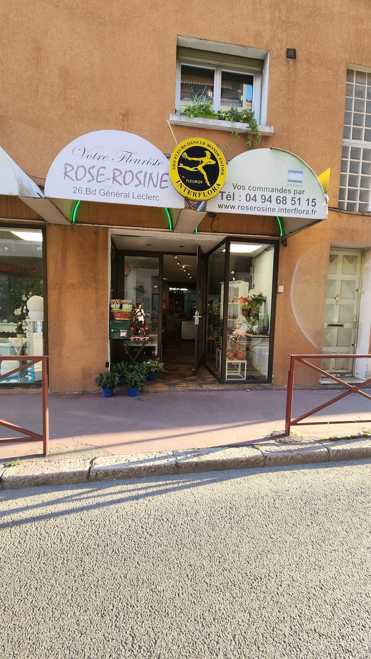 rose rosine fleurs